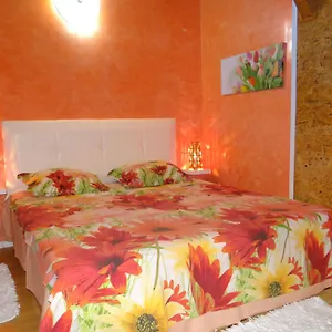 Orange Flower Sofía